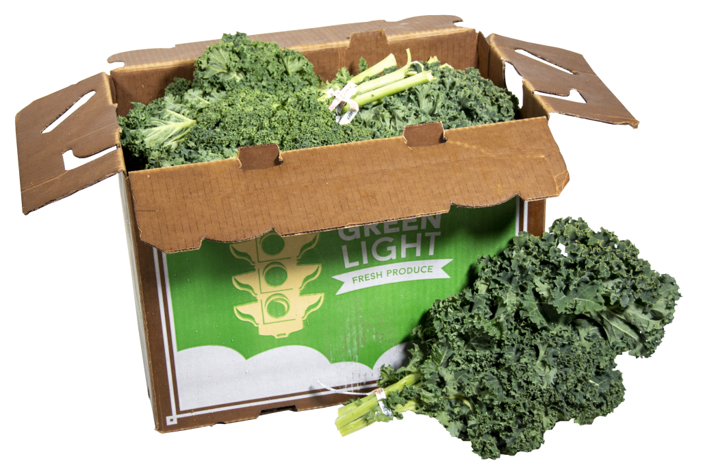 Kale Green Light Fresh Produce