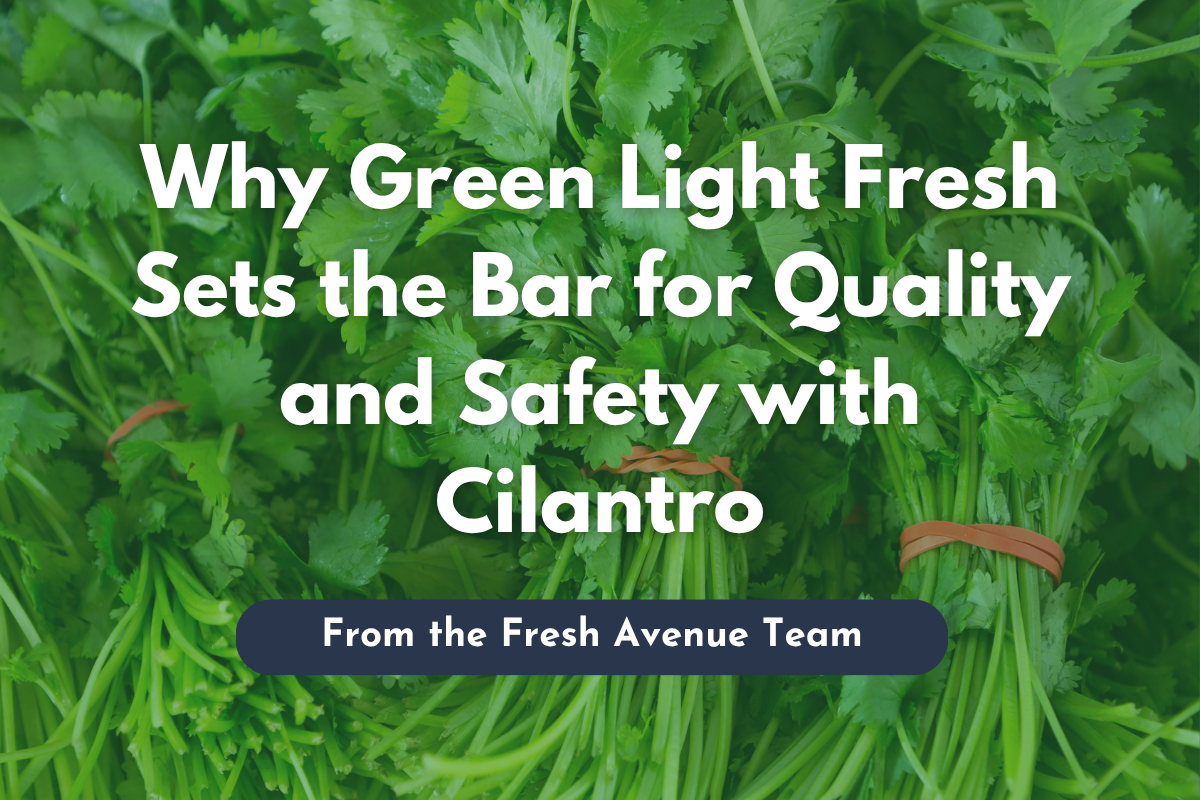 Why Green Light Fresh Sets the Bar for Quality and Safety with Cilantro ...