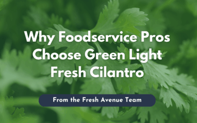 Dependable Freshness for the Kitchen: Why Foodservice Pros Choose Green Light Fresh Cilantro